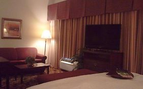 Hampton Inn Suites Del Rio 2*