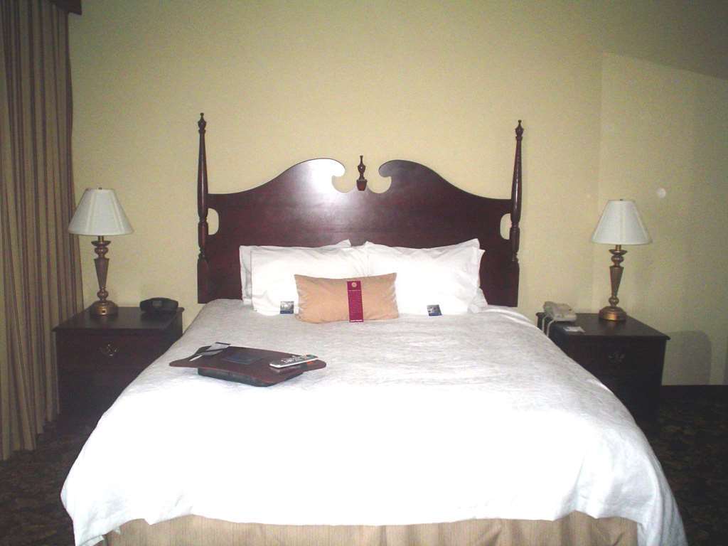 Hampton Inn & Suites Del Rio Room photo